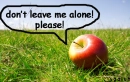 don't leave me alone!