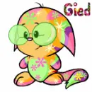 Neopet Kacheek Disco wearing glasses- Gied
