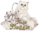 Cat Basket GlitterSparkled - Hugs Maggie