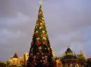 Christmas tree with rainbow in background