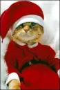 Santa?!