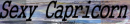 Capricorn Collage Extended Network Banner