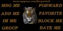 Tiger Table