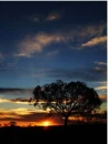 sunset or sunrise