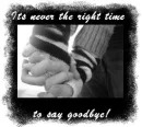 Say Goodbye