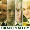Draco