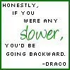 Draco
