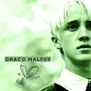 Draco