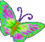 rainbow butterfly