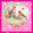 two birds in a snowglobe
