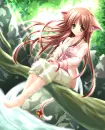 Nikumi