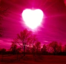 beautiful picture