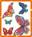 butterflies