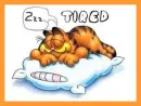 garfield sleeping