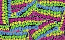 drop dead
