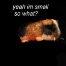 Im small? :{