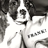frankie with his dog :P