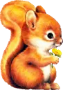 Squirrel
