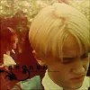 Draco