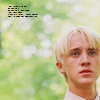 Draco