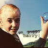 Draco
