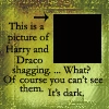 Draco and Harry