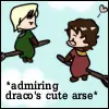 Draco and Harry