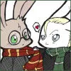 Draco and Harry