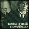 Draco and Harry