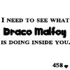 Draco and Harry