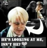 Draco and Harry