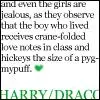 Draco and Harry