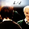 Draco and Harry