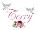 Terry