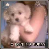 I love my puppy
