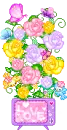 colorful flowers