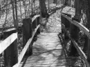 B&W Bridge.