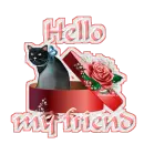 Hello my friend