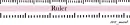 Ruler
