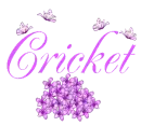 Cricket