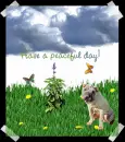 Have a peaceful day!