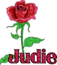 judie red rose