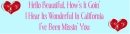 jonas brothers lyrics