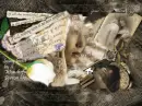 backdrop_loved by you