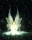 FAIRY