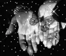 OPEN HANDS