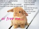 free me