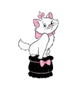Marie Kitty