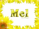 sunflower border mel