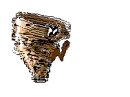 taz